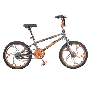 Custom BMX Bike 20 Inch Freestyle Bicycle