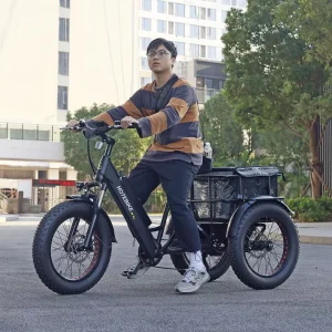Custom Electric Cargo Bike 48V 500W 750W Electric Bike for Food Delivery 20 Inch Fat Tire Electric Adult Tricycle