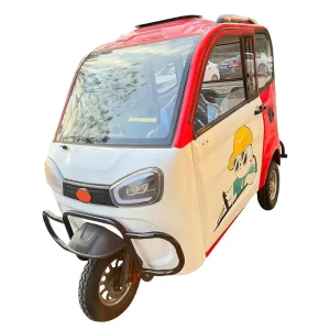 Custom Electric Tricycle 3 Wheeled Adult Tricycle Electric Bike Closed In Tricycle