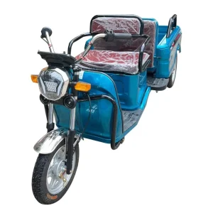 Custom Electric Tricycle Roof Electric Cargo Tricycle Bike Small Households