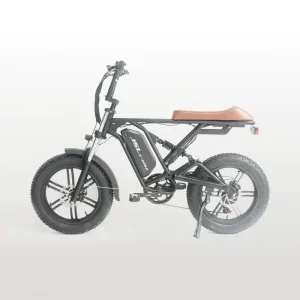 Custom High-Quality Multi-function 20 Inch 7-Speed Fat Tire Folding Electric Bike 350W 48V for Home Use Adult Hybrid Electric Bicycle
