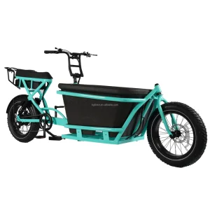 Custom Logo 48V 250W 500W Electric Cargo Bike with Strong Front Loading Basket 2 Wheels Electric Carry Bike Rear Carrier Battery