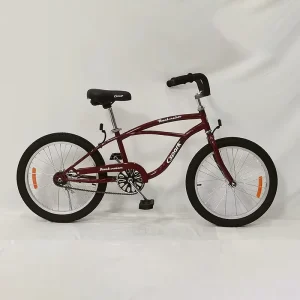 Custom Men’s Bicycle Adult Standard Beach Cruiser Bike