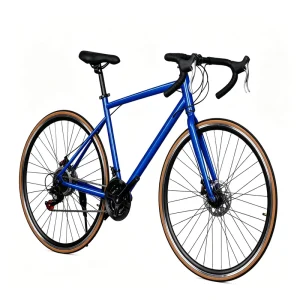 Custom Road Bicycles for Sale Combined with Road Sport bicycle for Diversified Outdoor Leisure Cycling Arrangement