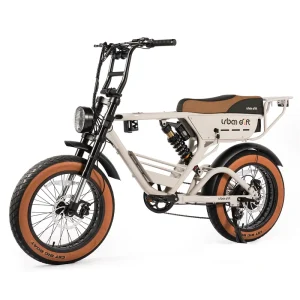 Customizable 20inch Electric Hybrid Dirt Bike 1000W Fat Tire E-Bike 250W Full Suspension Mountain Fatbike Adult Hybrid