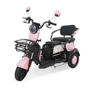 Customizable 48V600W Ebike Electric Tricycle Can Accommodate 3 People Entertainment Passenger Seniors