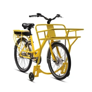 Customizable Electric Cargo Bike for Postal and Food Delivery with Waterproof Storage Boxes