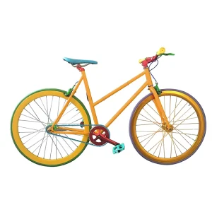 Customizable Fexie Single Speed 700C Road Bike Women’s Commuting Bike with Steel Fork Fixed Gear