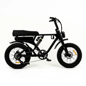 Customizable Hybrid 20-Inch Full Suspension Dirt Bike 750W Bafang Motor Lithium Battery Power Supply Fatbike