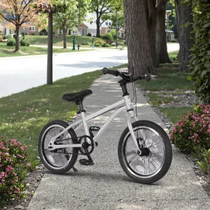 Customization New City Sport Riding Steel Single Speed 16-20 Inch Mountain Road Dirt Bike Youth Bicycle Boy Leisure Front/Rear
