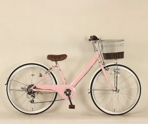 Customized 24 Inch City Bicycle for Women Ladies Bike with 6 Speed Classic Style Steel Fork Material