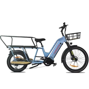 Customized 6061 Aluminum Alloy Frame Two Wheel Electric Cargo Bike With Rear Rack