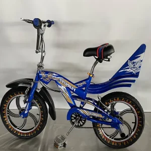 Customized Adult Performance BMX Bike 20 Inch Steel Hard Frame Outdoor Sport