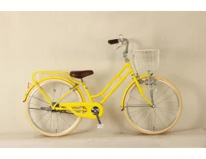 Customized Classic Single Speed Women’s 26 Inch City Cruiser Bike High Carbon Steel Frame Basket Aluminum Alloy Fork Adults