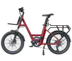 Customized E Cargo Bike 20 Inch Child Cargo E Bike for Courier with Intelligent Display Dog