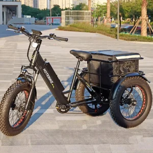 Customized Electric Bike 3 Wheel Electric Tricycle 48V 500W 750W Electric Cargo Bike