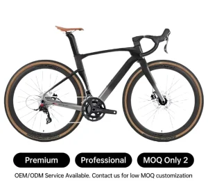 DFQ Professional All road Gravel Cycling Bike Carbon Fiber Frame Hydraulic Disc Brake Custom Logo Racing Gravel