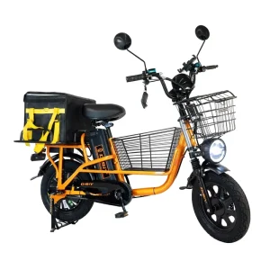 DISIYUAN M1 Cargo Bike Fat Tire Electric Bike for Delivery Steel Frame 3 Speed Lithium Battery 60V 20Ah