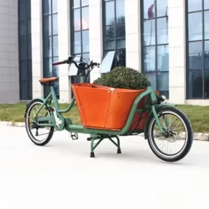 Delivery Cargo Bike 2 Wheel Electric Cargo Bicycle for Carrying Children