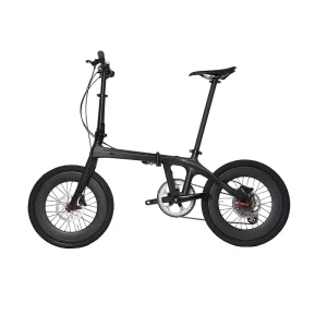 Dengfu FULL Carbon Fiber Folding Bike Black Road Bike Carbon