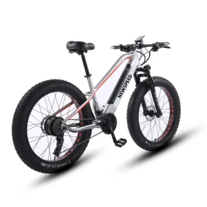 Direct Factory Sale Personalized 48v 250W 350W Smart Electric Scooter Aluminum Alloy Frame City Bikes Rear Carrier 750W