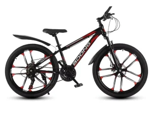 Disc Brake Fat Tire Youth Mountain Bike