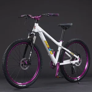 Disc Brake System Bicicleta Sports Cycle Steel Forks Man Bicycle for Adults