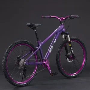 Disc Brake System Bicicleta Sports Cycle Steel Forks Mountain Bike Man Bicycle for Adults