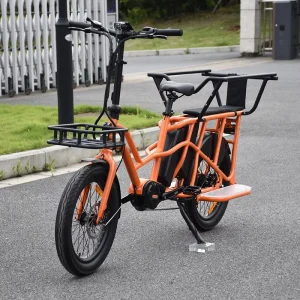 Dual Battery 1000w Electric Cargo Bike with Baby Seat