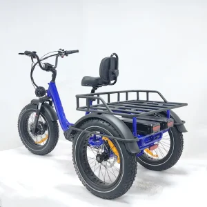 Dual Cargo Electric Tricycle 3 Wheel Electric Bike Battery 48V20Ah Double Off Road Fast Speed Ebike All Drive