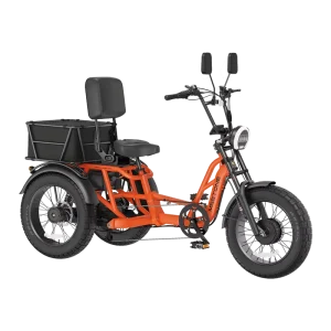 Dual Motor 3 Wheel Electric Bike Fat Tire Electric Tricycle Long Travel Aluminum Alloy Frame Three Wheel Trike Family Cargo Bike