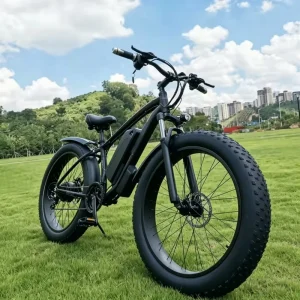 Dual Motor 750W Lithium Battery High-Speed Singletrack Powerhouse 26×4 Electric Bike for Enduro Cross-Country Riding