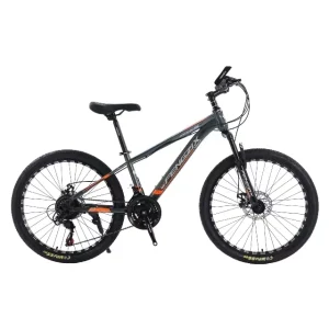 Dual Suspension Mountain Bikes 29 Bicycles with Suspension Fork for Exciting Montana Biking Experience High Quality Popular MTB