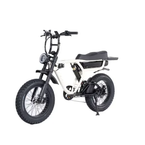 Durable Bafang 20Inch Aluminum Electric Mountain Bike 1000W Fat Tire Full Suspension Hydraulic Brakes LCD Elektrische Fiets