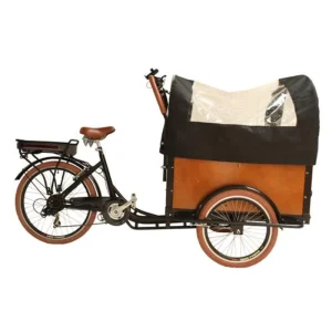 Dutch Cargo Bike 3 Wheels Electric Tricycle Bakfiets with Carriage