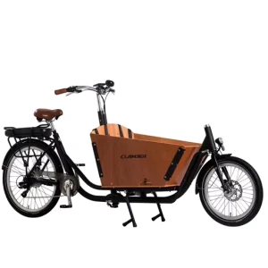 Dutch Style Adult Tricycle 26 Inch Electric Cargo Bike for Family