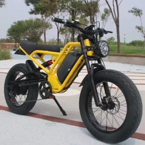 E Bike Factory 1500W Electric City Bike 20 Inch Off-road Fat Tires Aluminum Alloy Frame Mountain Bicycle Ready to Ship