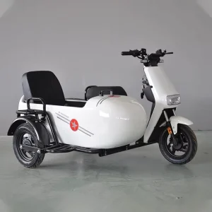 E Bike Side Car Adult Electric Tricycle Bicycle 3 Wheel Ebike Electric Cargo Trike Etrike Sidecar