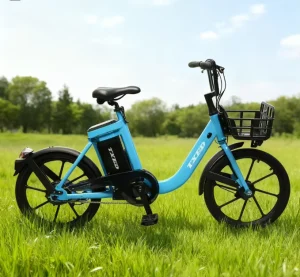 E Bike2Share Single Speed Electric Bike with Rear Hub Motor Durable Aluminum Alloy Frame 36V 25km h