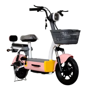 E Bikes Electric Bicycle Mountain City Green EVs Electric Bike