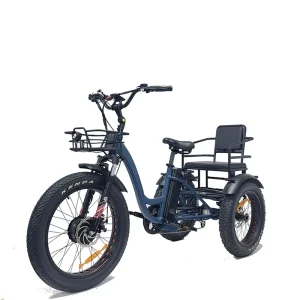E Trike 48V Lithium Battery 3 Wheel Front Hub Brushless Motor Fat Tire Electric Delivery Cargo Bike Disc Aluminum Alloy Frame