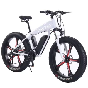 E bike 26” 48V 350W Electric Mountain Bike Electric Hybrid Bike with Hydraulic Brakes Electric Bicycle Fatbike