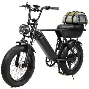 E bike 500W MTB 20 Inch Mountain Buggy Tyres 48V 15Ah Ebike Electric Bicycle