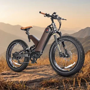 E-bike Magnesium Alloy Frame Suspension Front Fork Electric Leisure Bike USA Warehouse Stock