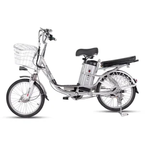 E bikes E Fat Tire 48v Bikes for Sale Electric Bicycle Adult Electric Bike