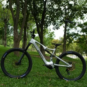 ECO New DNM 160 mm Suspension EMTB L-TWOO 12-Speed Carbon Fiber Electric Mountain Bike, 540Wh Battery, 250W Motor, EN15194