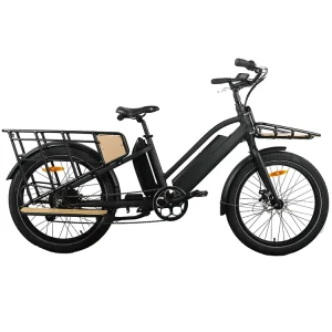 EN15194 Europe Market Cargo Bicycle Ebike Fat Tire