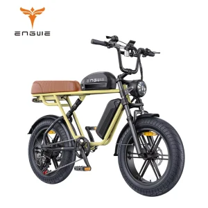EU/US Warehouse Ready Stock ENGWE M1 Electric Hybrid Bike, 250W, 20-Inch Fat Tires, 25 km/h E-Bike for Adults