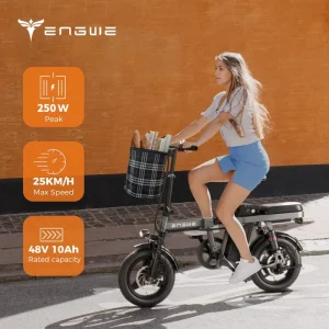 ENGWE T14 Mini Size Folding Electric Bicycle 250W 48V 14 Inch Electric City Bike Foldable Electric Bike Commuter Folding Bike