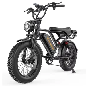 EU Electric Bicycle Dirt Electric Sport Bikes Retro Mountain Fat Tire Ebike 750W Electric City Bike Electric City Bike